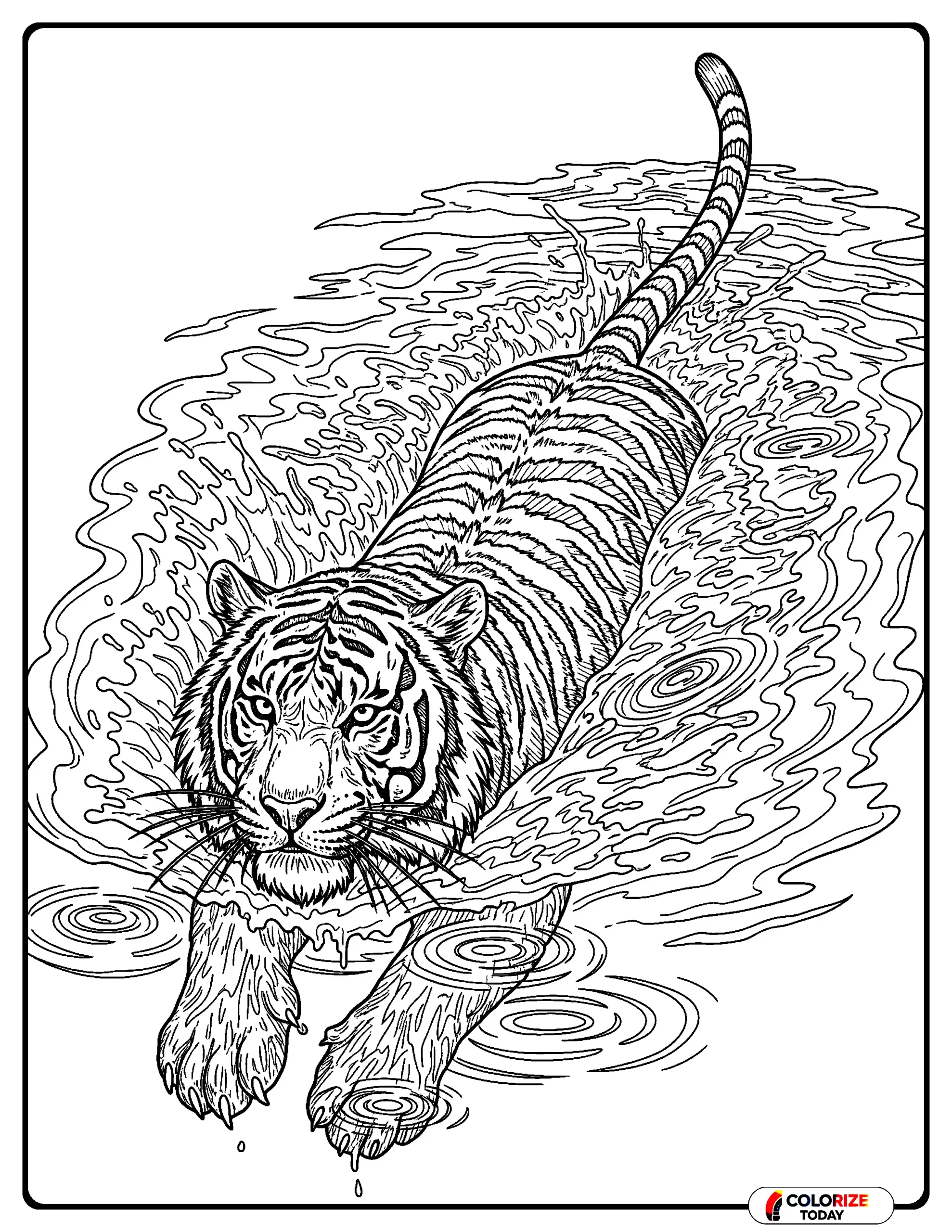 Realistic swimming tiger with detailed water effects and wet fur coloring page